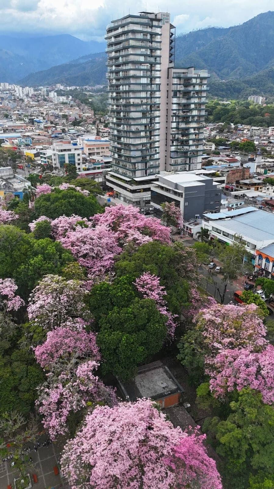 Tolima Andean landscape — tranquil wellness recovery