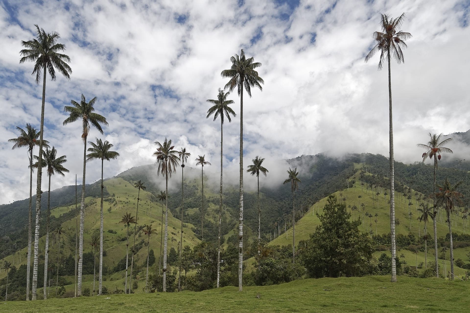 Paisaje montañoso de Colombia